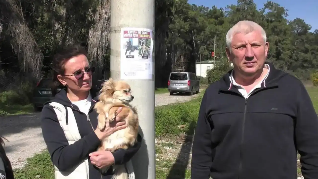 kemerde-yasayan-rus-ailelerin-kaybolan-kopeklerini-bulana-100-bin-tl-odul