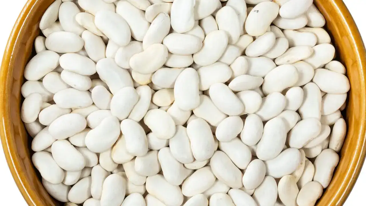 ibradidan-alanyaya-bir-lezzet-koprusu-10