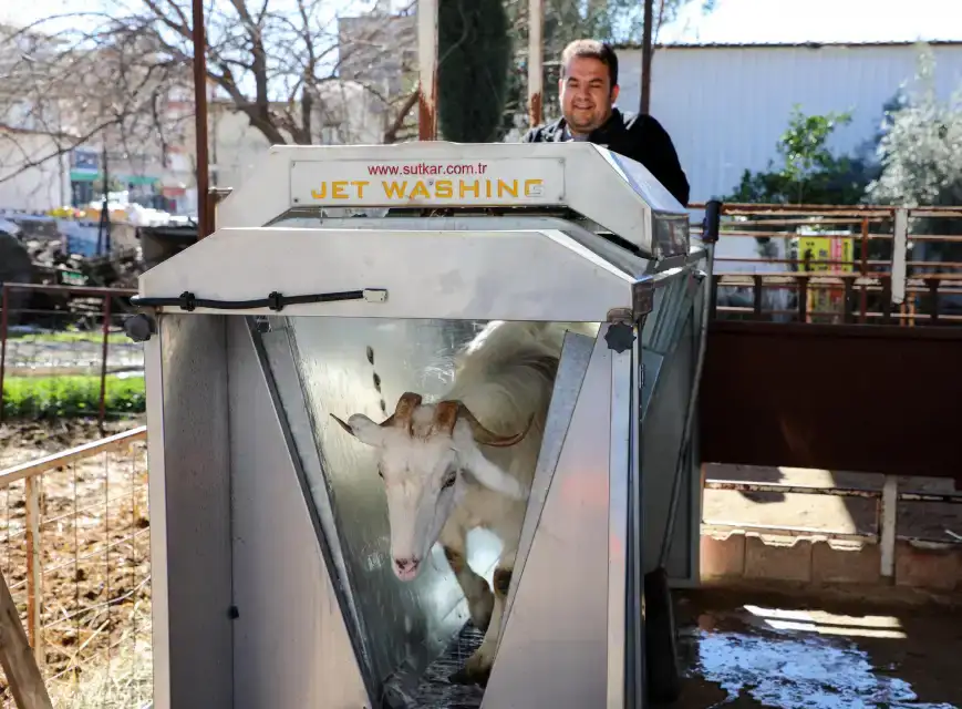 dosemealtidan-kucukbas-ureticilerine-destek-hayvanlara-ucretsiz-parazit-ilaci-yapildi