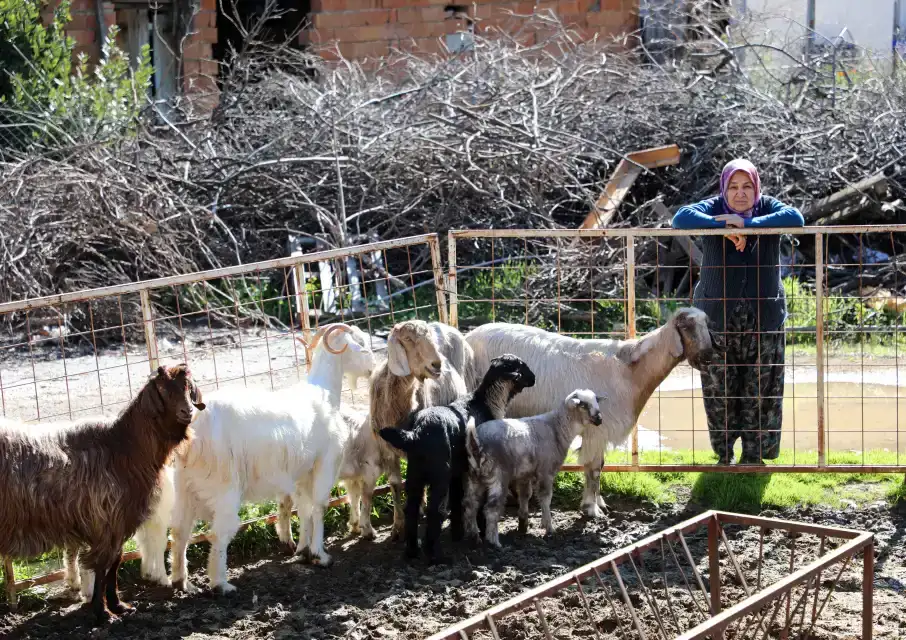 dosemealtidan-kucukbas-ureticilerine-destek-hayvanlara-ucretsiz-parazit-ilaci-yapildi