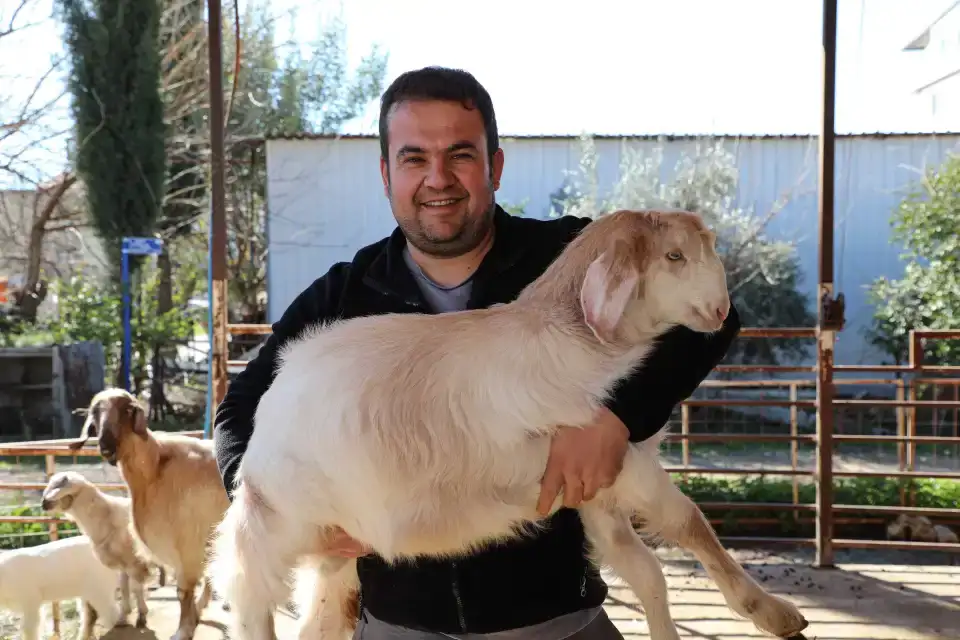 dosemealtidan-kucukbas-ureticilerine-destek-hayvanlara-ucretsiz-parazit-ilaci-yapildi