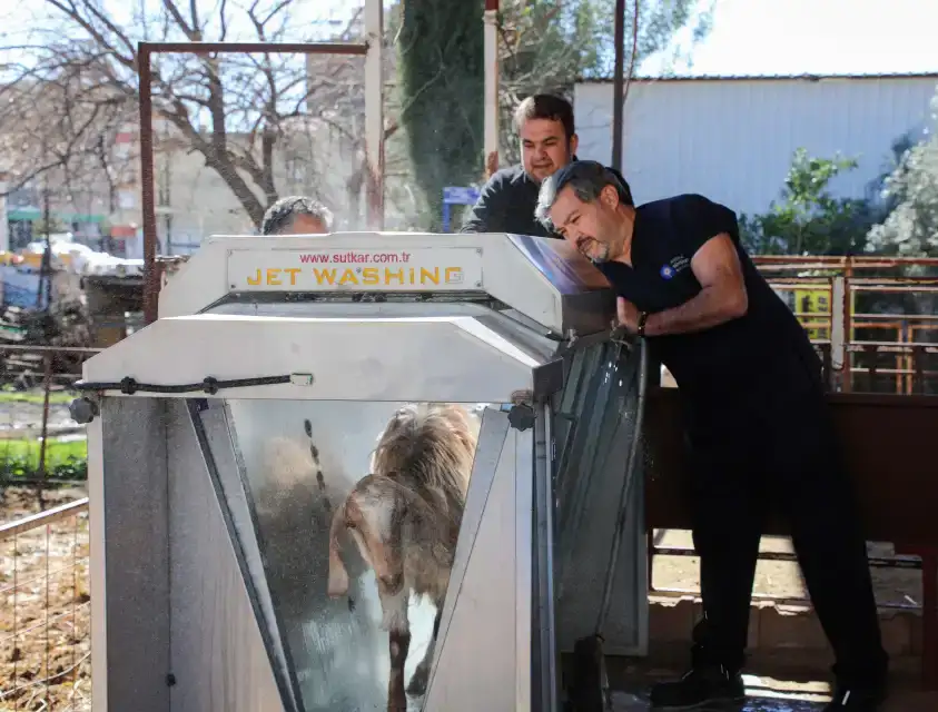 dosemealtidan-kucukbas-ureticilerine-destek-hayvanlara-ucretsiz-parazit-ilaci-yapildi