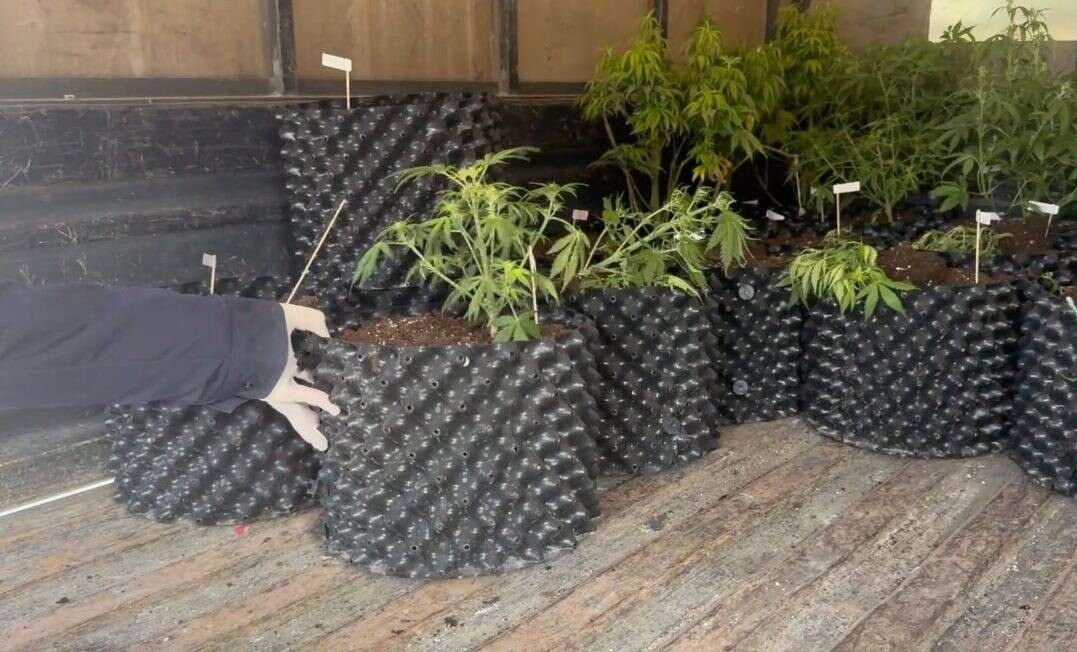 burdurda-zehir-evi-cokertildi