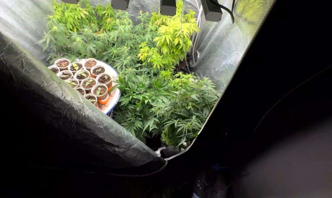 burdurda-zehir-evi-cokertildi