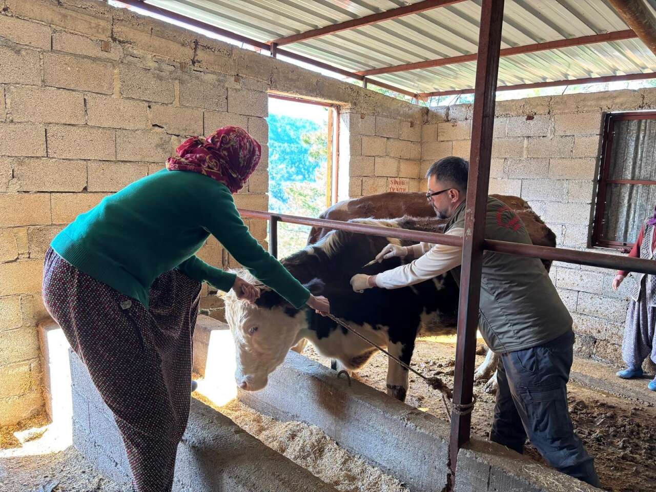 gazipasa-tarim-ekiplerinden-saglik-denetimi