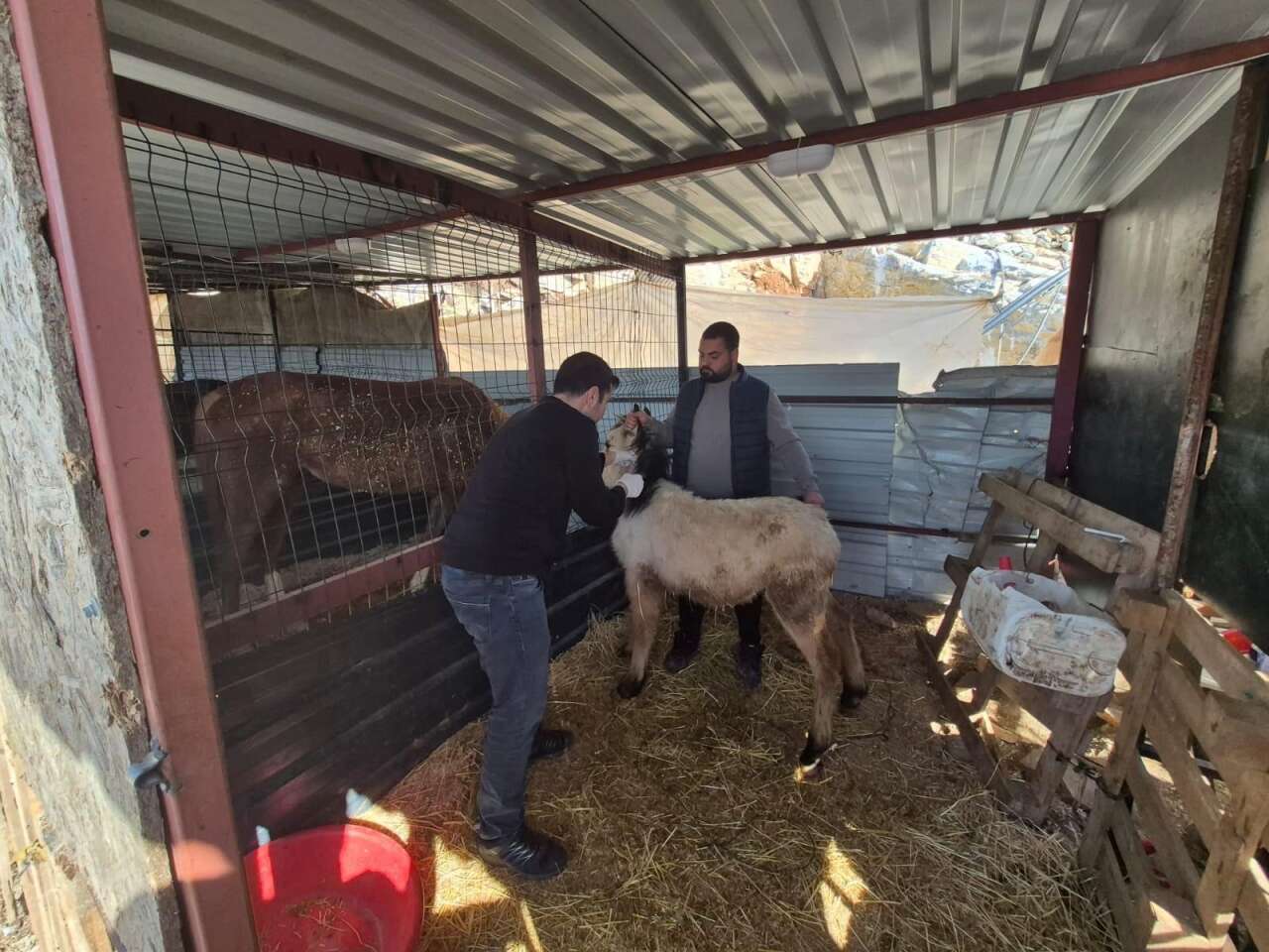 gazipasa-tarim-ekiplerinden-saglik-denetimi