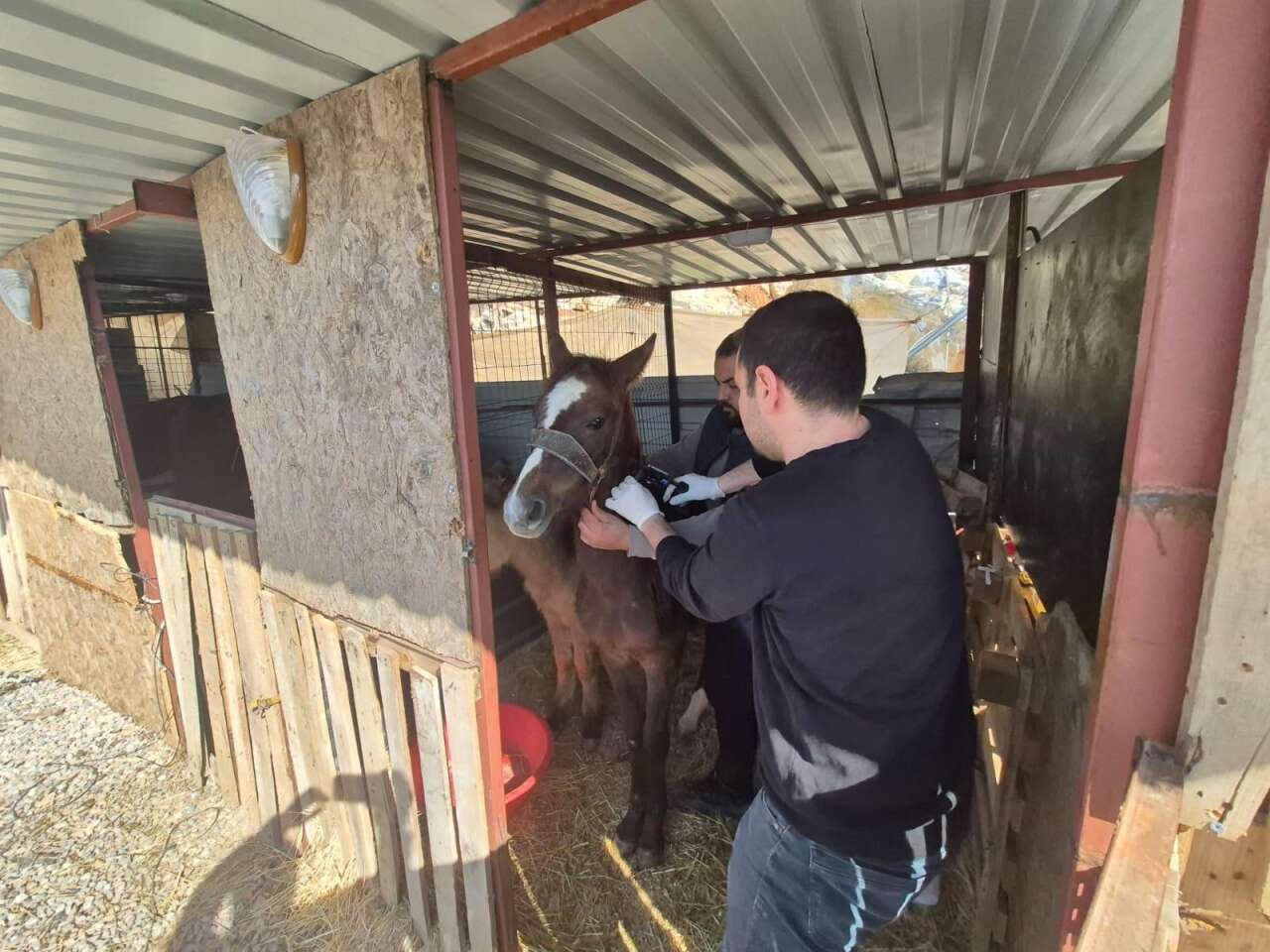 gazipasa-tarim-ekiplerinden-saglik-denetimi