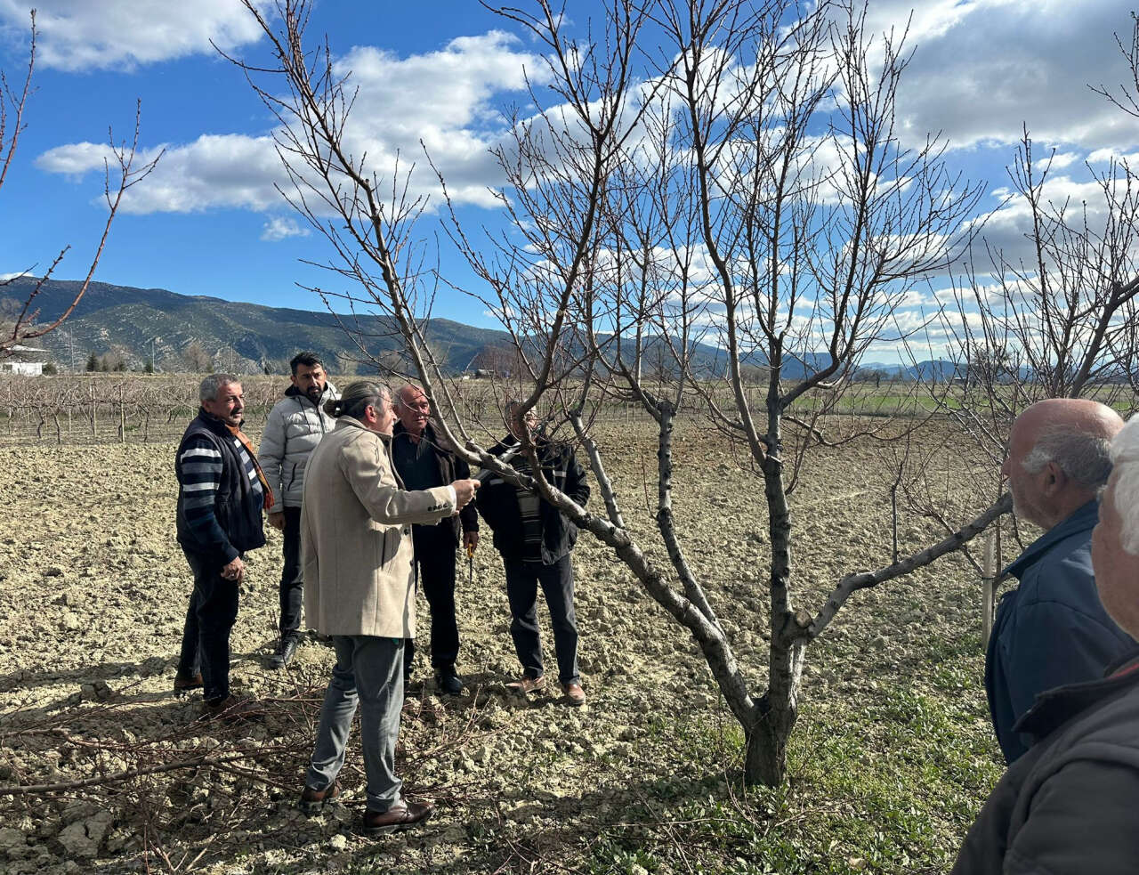 korkutelinde-ureticilere-uygulamali-budama-egitimi
