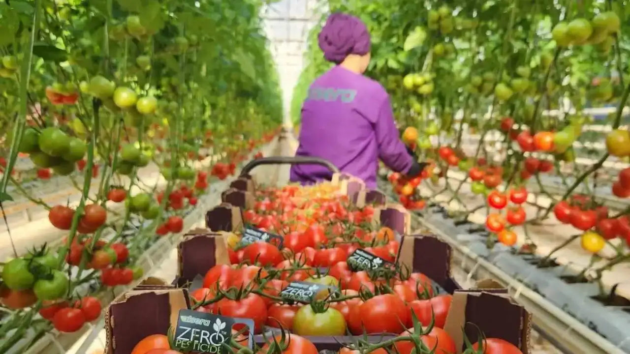 tes-is-antalya-baskani-kayserden-8-mart-mesaji-emekci-kadinlara-sahip-cikacagiz