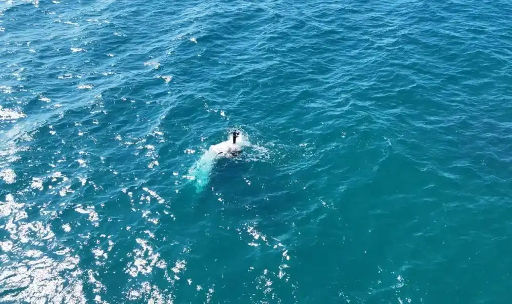 alanyada-korku-dolu-anlar-batan-balikci-teknesinden-3-kisi-son-anda-kurtuldu