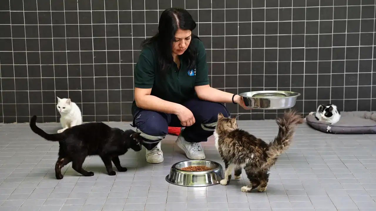 antalyanin-gucu-kadin-emeginden-geliyor