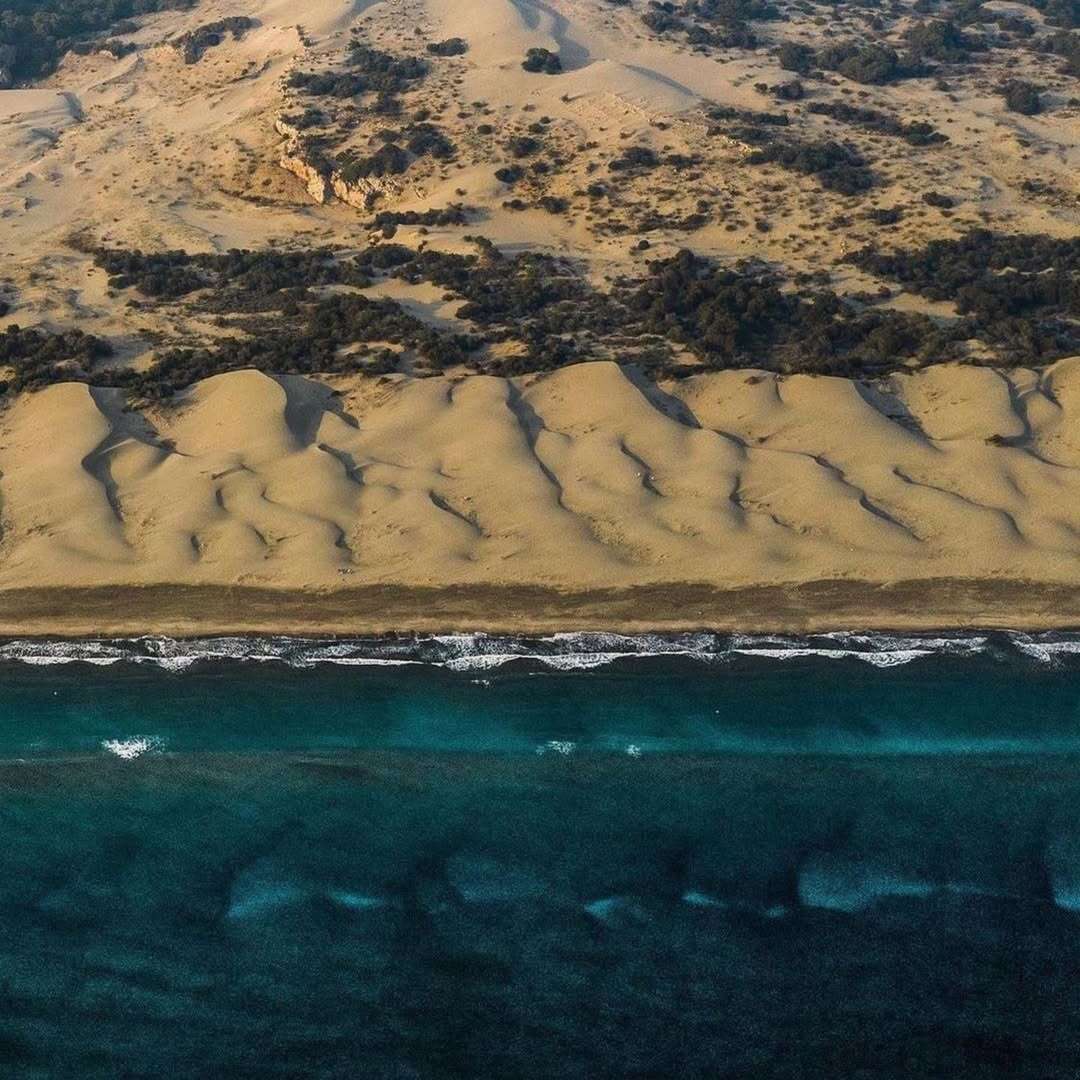 patara-kumsalinda-hayat-bulan-deniz-kaplumbagalari-caretta-carettalari-merak-edenler-icin-bugu-1