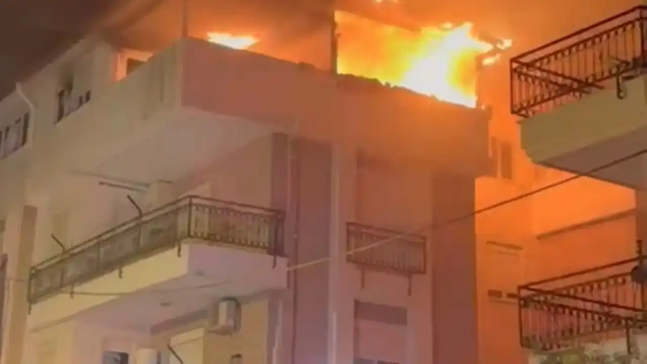 kepezde-alevlerin-arasindan-kurtulan-itfaiye-kediyi-hayata-bagladi