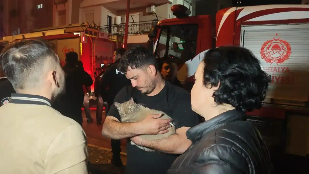 kepezde-alevlerin-arasindan-kurtulan-itfaiye-kediyi-hayata-bagladi