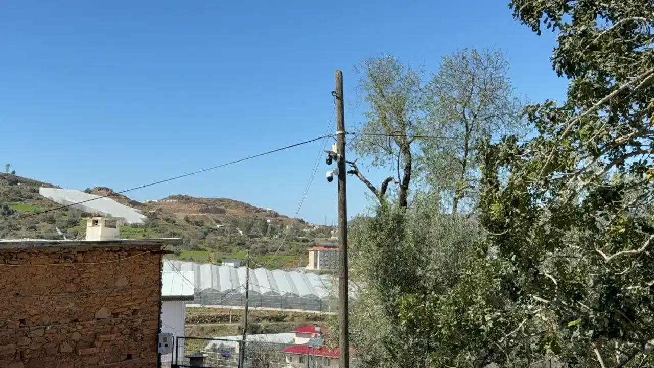 gazipasada-sahipsiz-kopek-saldirisi