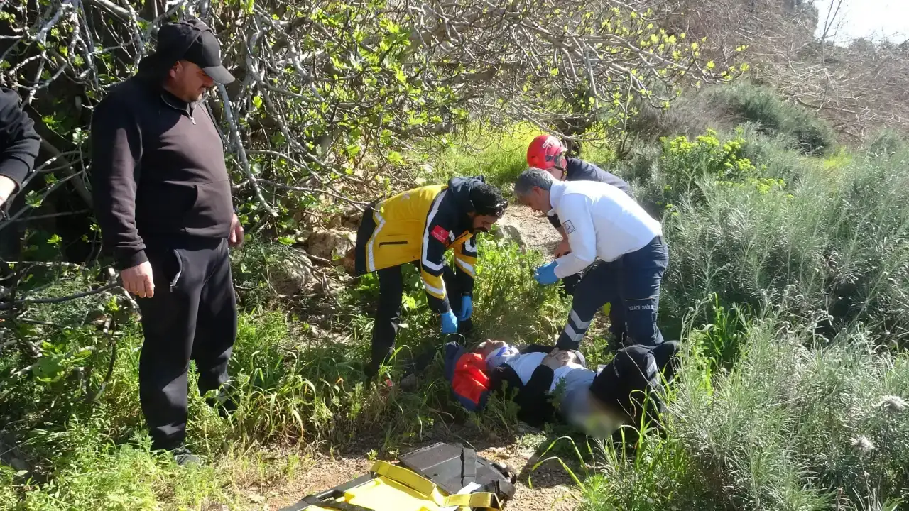 hayatini-incir-agaci-kurtardi