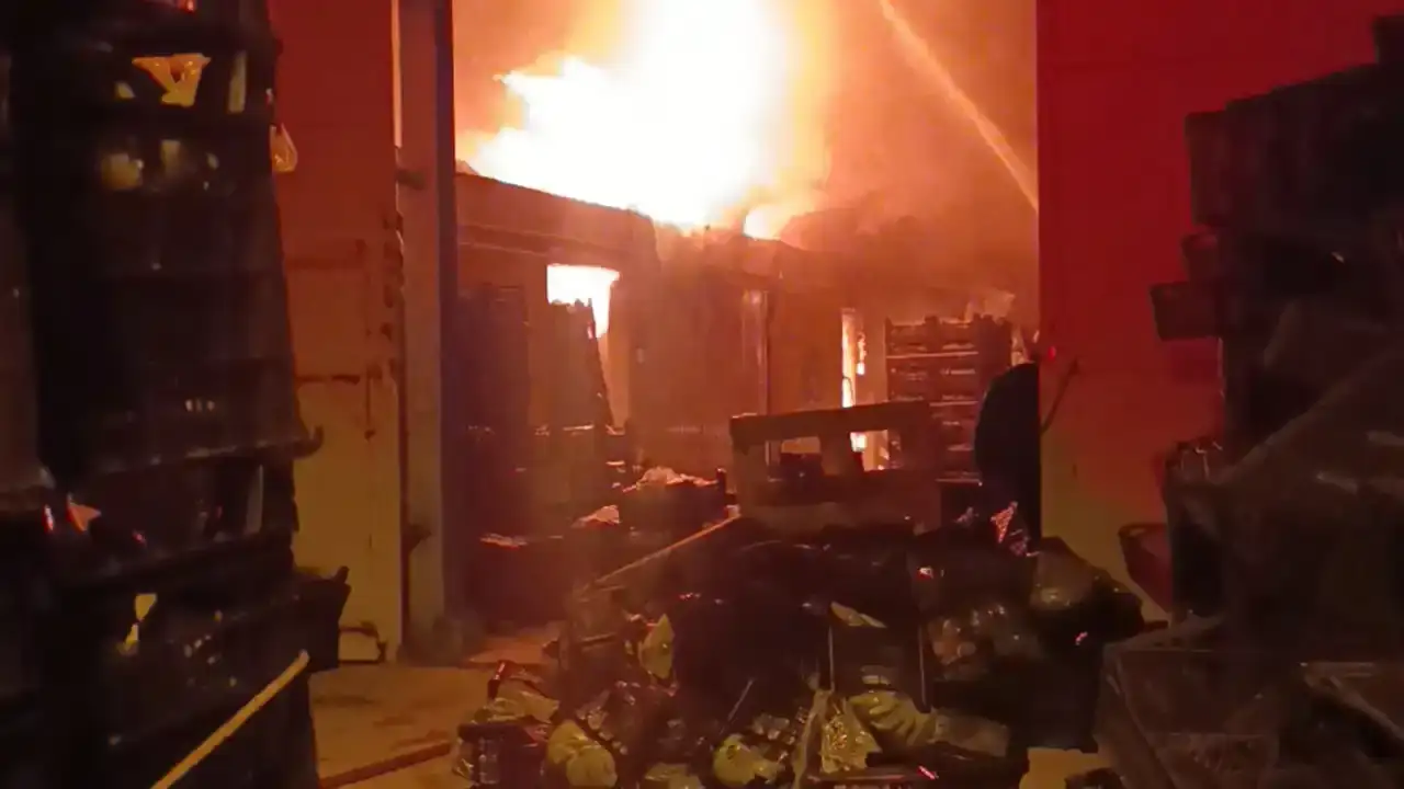 manavgatta-muz-paketleme-tesisi-alevler-sardi