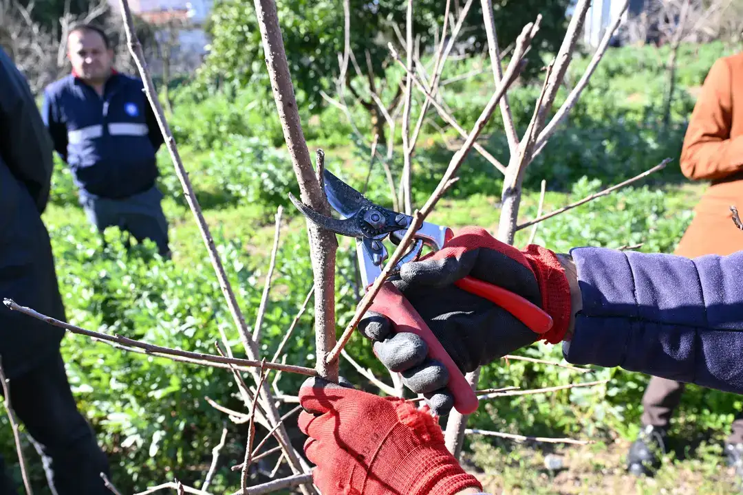 antalyada-bahceler-profesyonel-ellere-emanet-atasemden-uygulamali-egitim