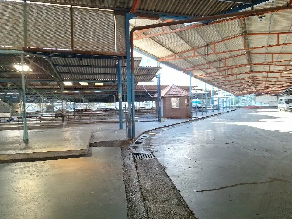 busra-ozdemirin-hayir-dedigi-o-tadilat-kanuna-aykiri-mi