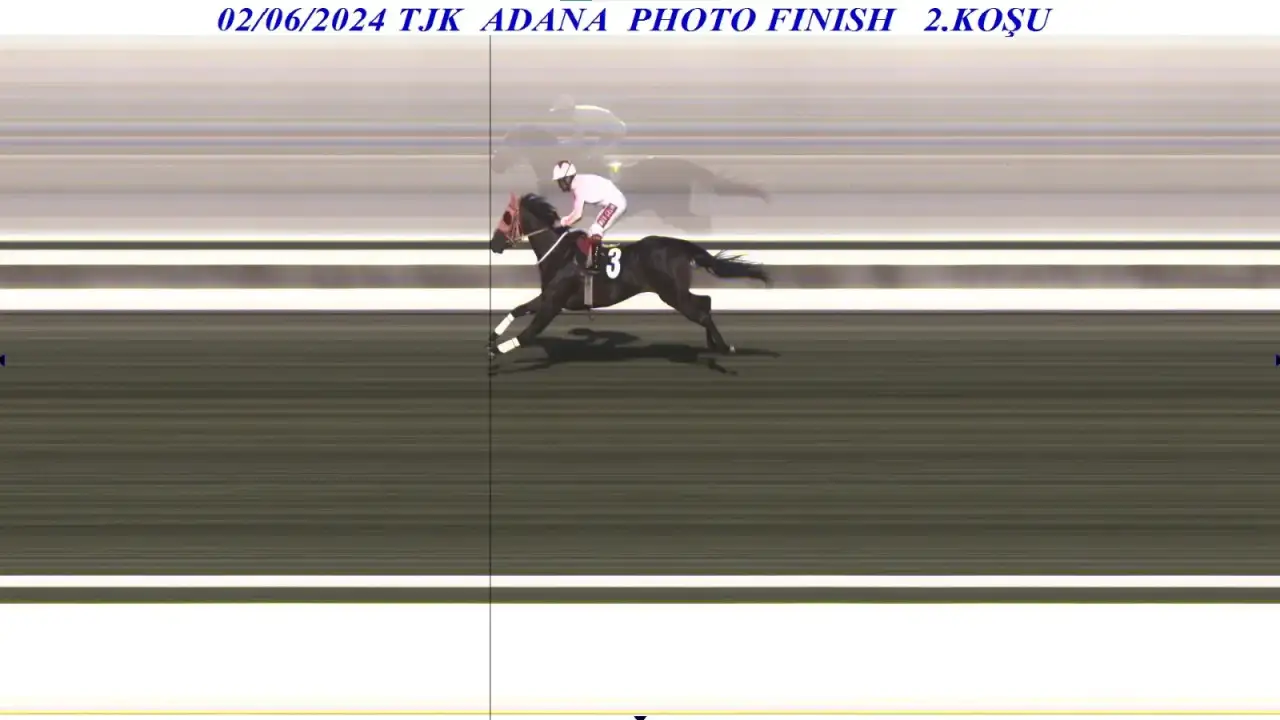 whatsapp-image-2026-03-12-at-15-51-18