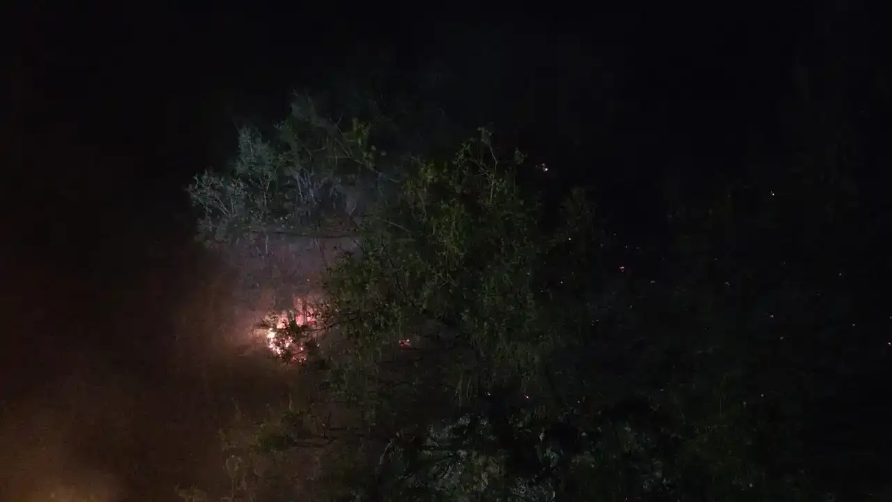 alanyada-orman-yangini-hizli-mudahaleyle-sonduruldu