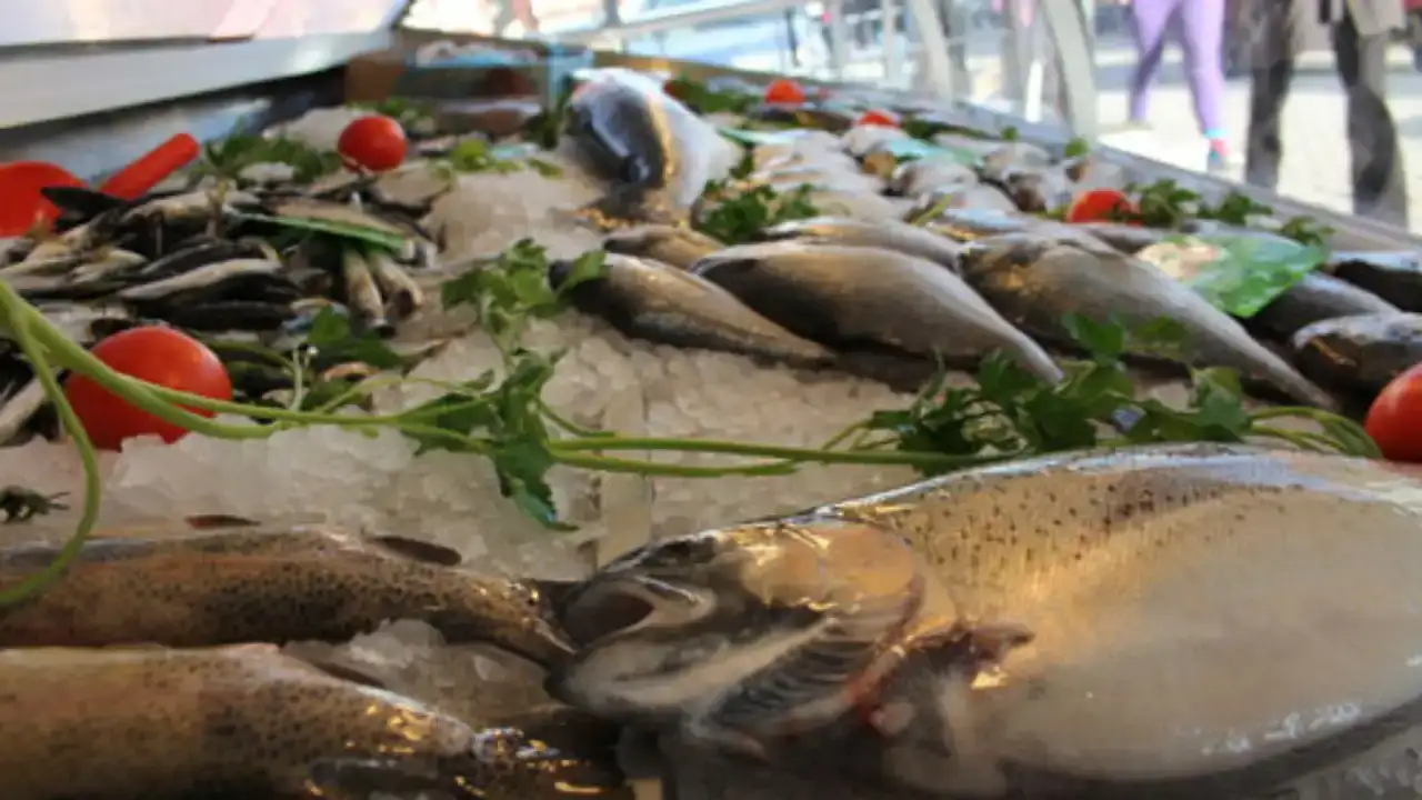 uzman-aydin-uyardi-akdenizdeki-deniz-urunlerinde-zehirlenme-riski-var