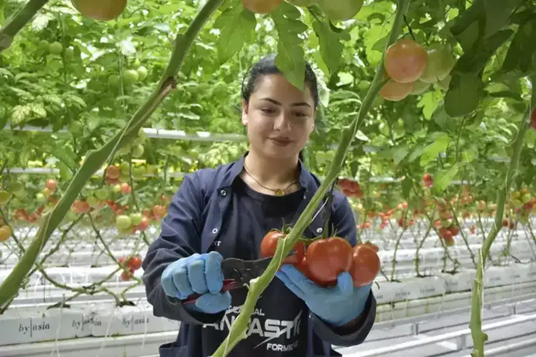 pestisit-tartismalari-baibden-her-koye-ziraat-muhendisi-onerisi