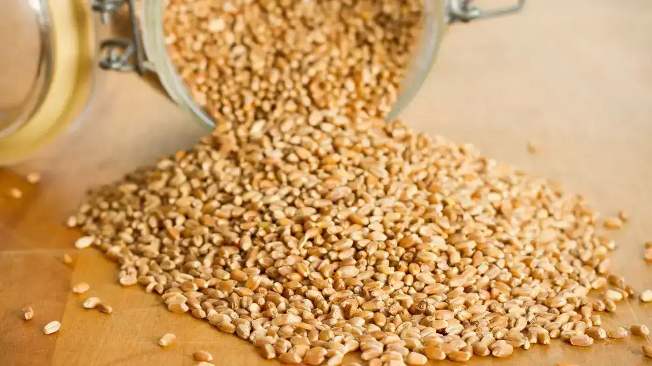 tescilli-corbadan-kuluk-helvasina-antalyadan-26