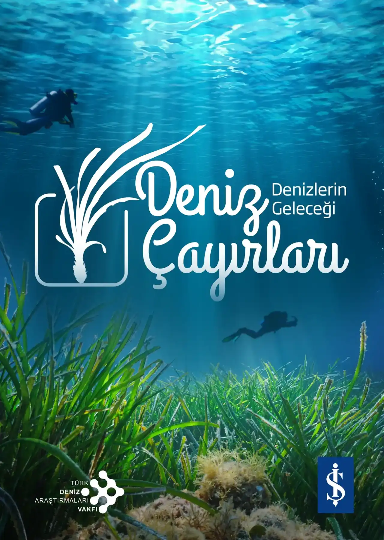 deniz-cayiri-deyip-gecmeyin-42-milyar-dolarlik-kayba-sebep-olabilir