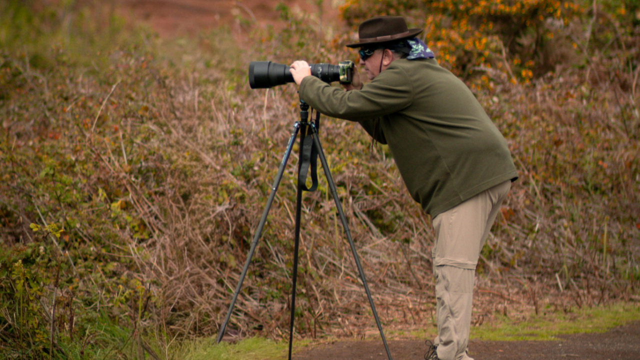 toroslarda-gorsel-solen-kar-cicekleri-dogayi-susledi