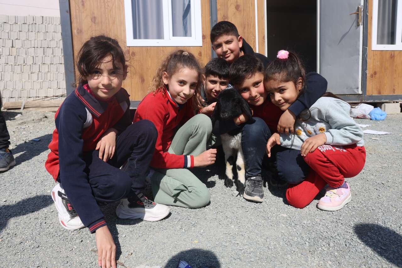 hatayin-maskotu-boncuk