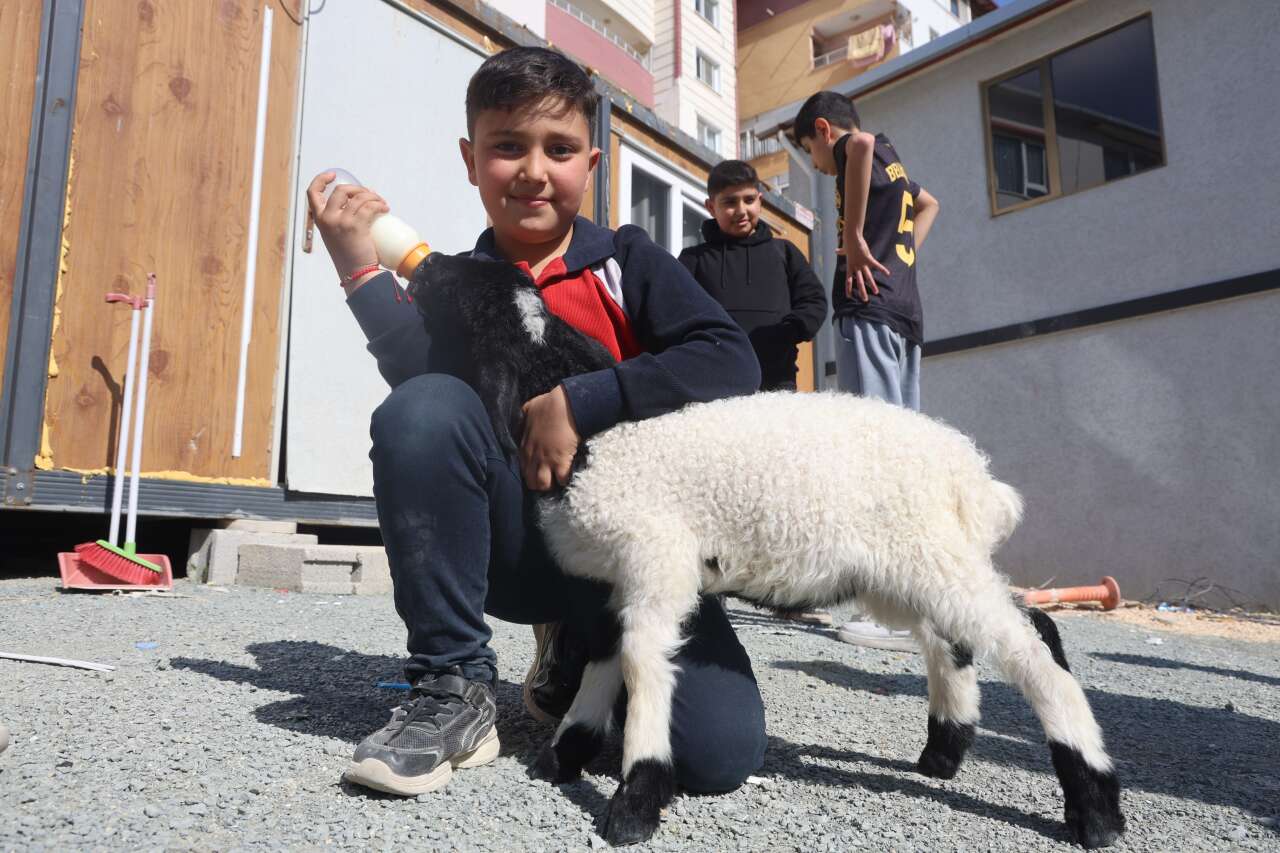 hatayin-maskotu-boncuk