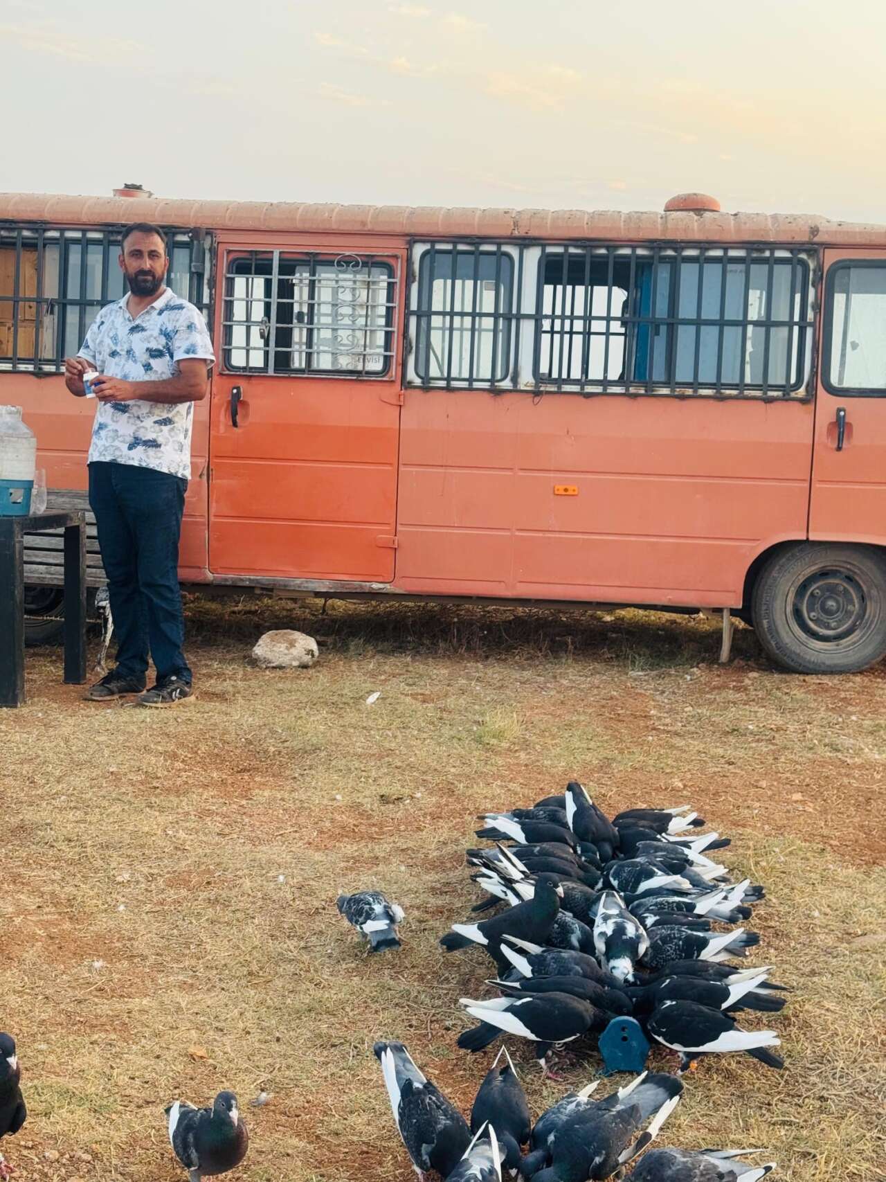 adana-dolandiricilik