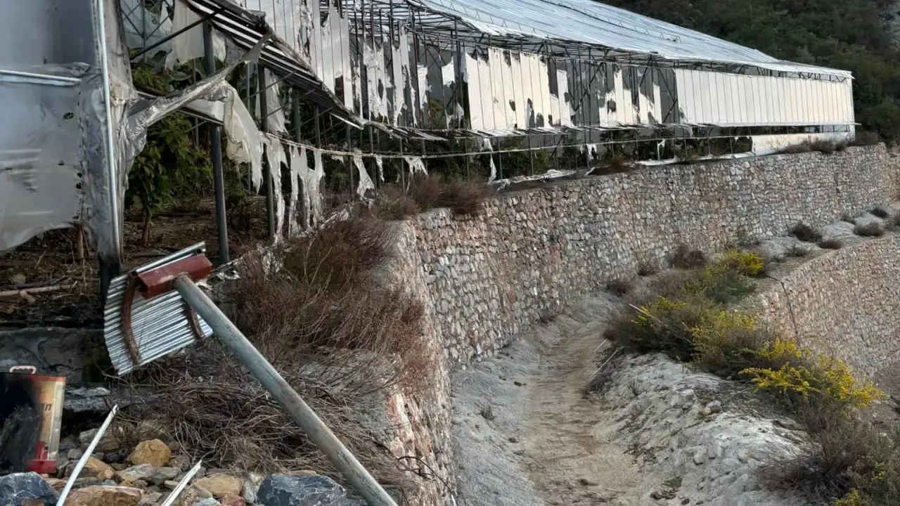 alanyada-muz-serasi-kundaklayan-3-supheli-tutuklandi