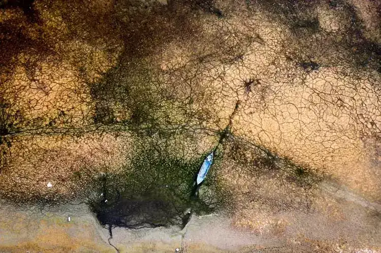 69c4e7f7bc01ba8b384dfef8