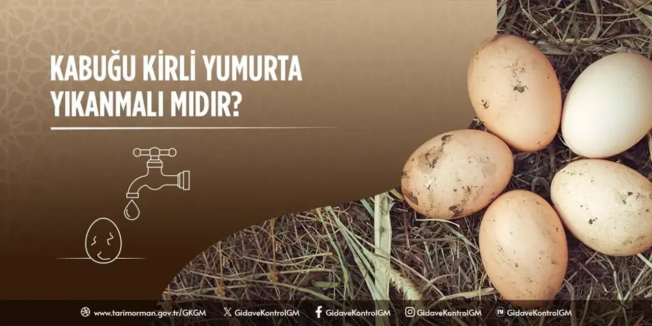 kabugu-kirli-yumurta-yikanmali-mi-bakanlik-son-noktayi-koydu