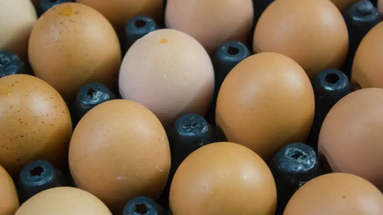 kabugu-kirli-yumurta-yikanmali-mi-bakanlik-son-noktayi-koydu