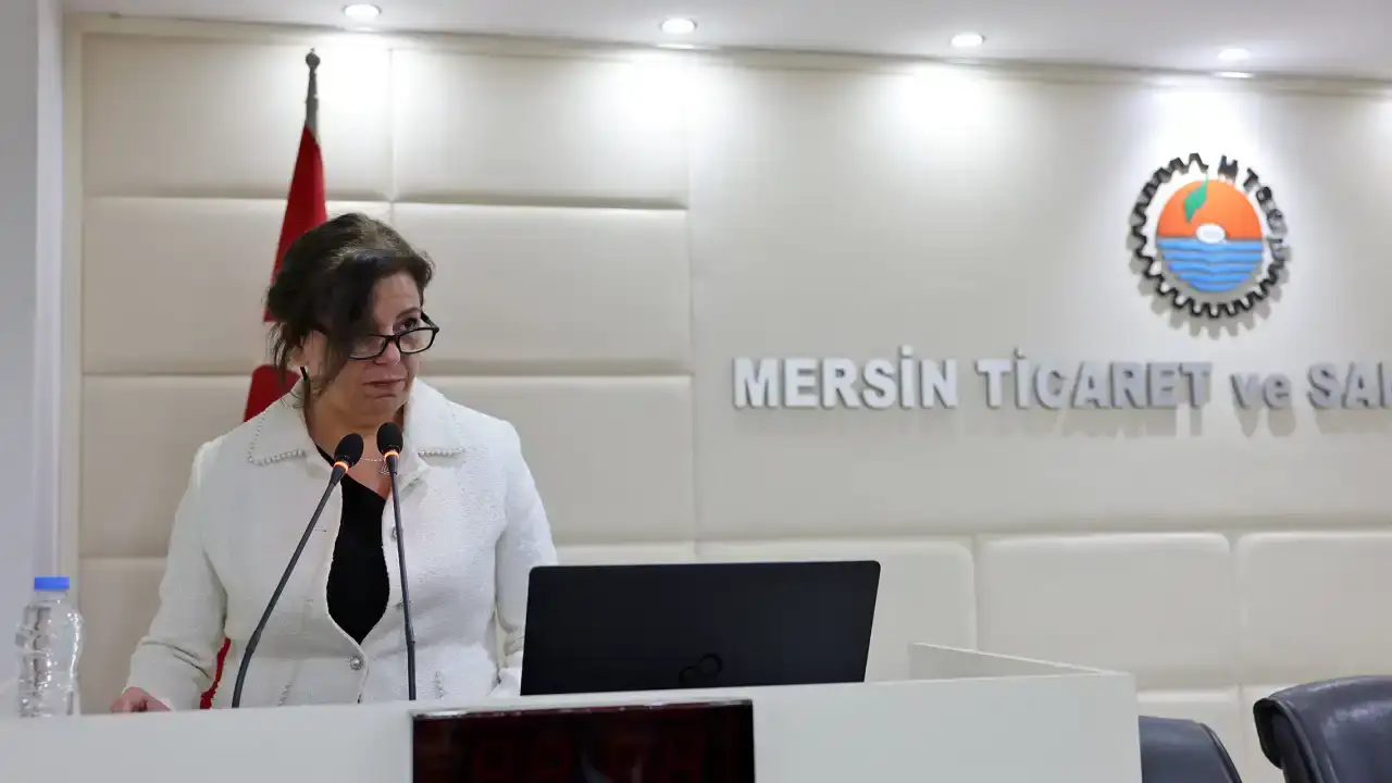 mersinde-saglik-turizmi-icin-toplanti-kritik-konular-masaya-yatirildi