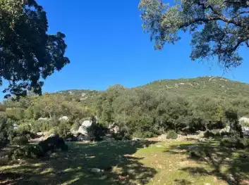 kasta-mermer-ocagina-onay-sit-alanlarina-yakinlik-tartisma-yaratti