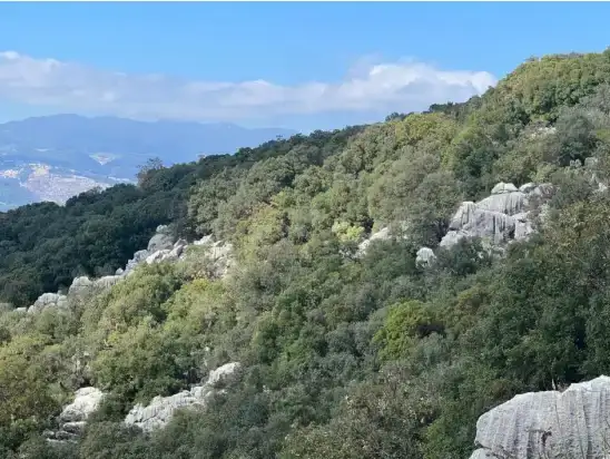 kasta-mermer-ocagina-onay-sit-alanlarina-yakinlik-tartisma-yaratti