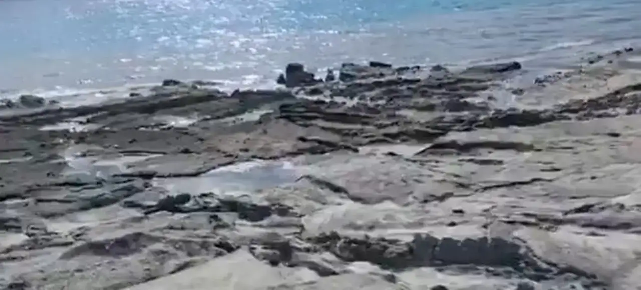 saldanin-kiyisi-gole-kaydi-bilim-insanlari-nedenini-acikladi