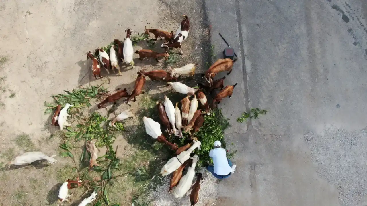 konyaaltinda-bir-sikayet-yarim-asirlik-uretimi-durdurdu