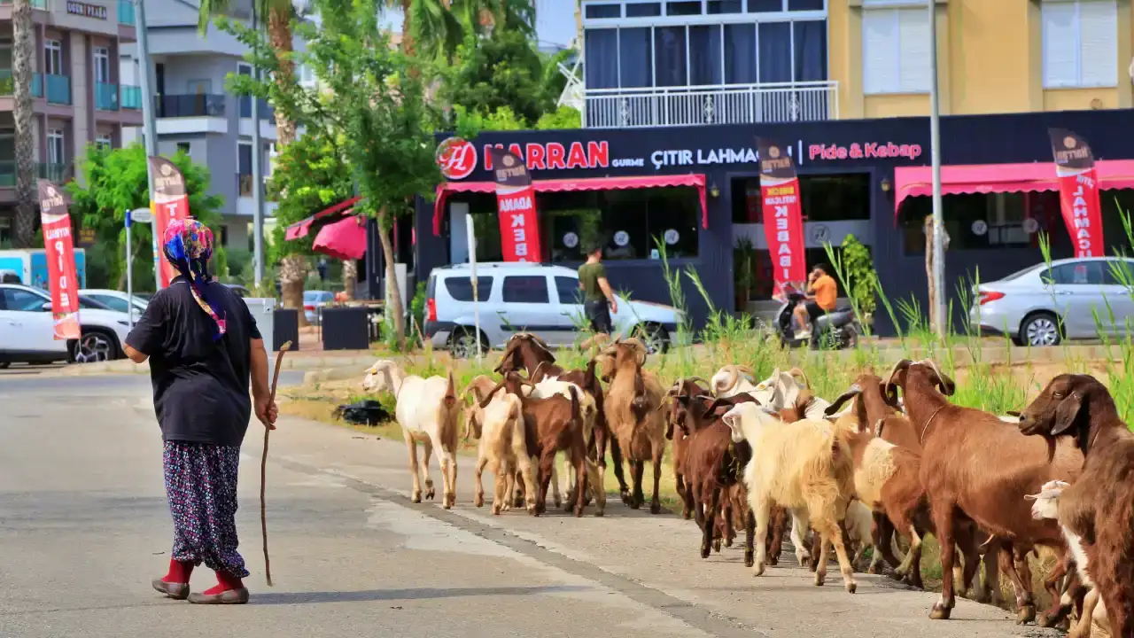 konyaaltinda-bir-sikayet-yarim-asirlik-uretimi-durdurdu