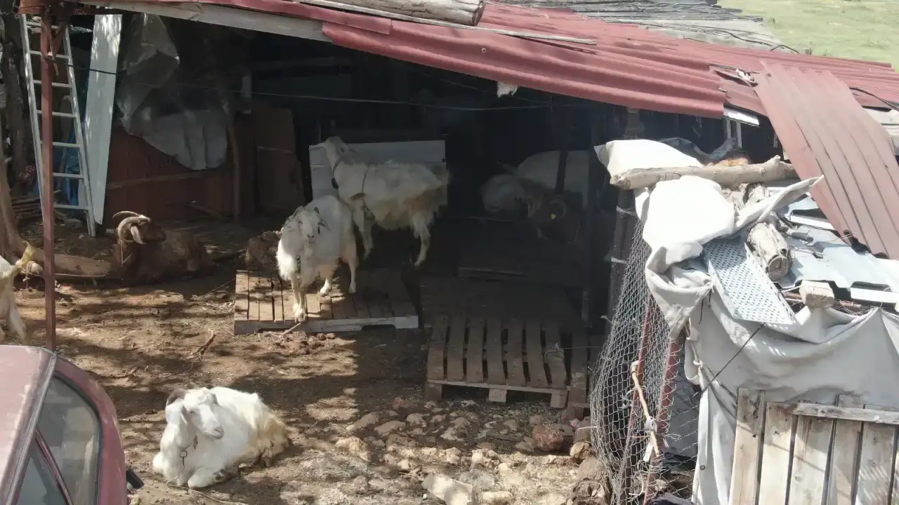 konyaaltinda-bir-sikayet-yarim-asirlik-uretimi-durdurdu