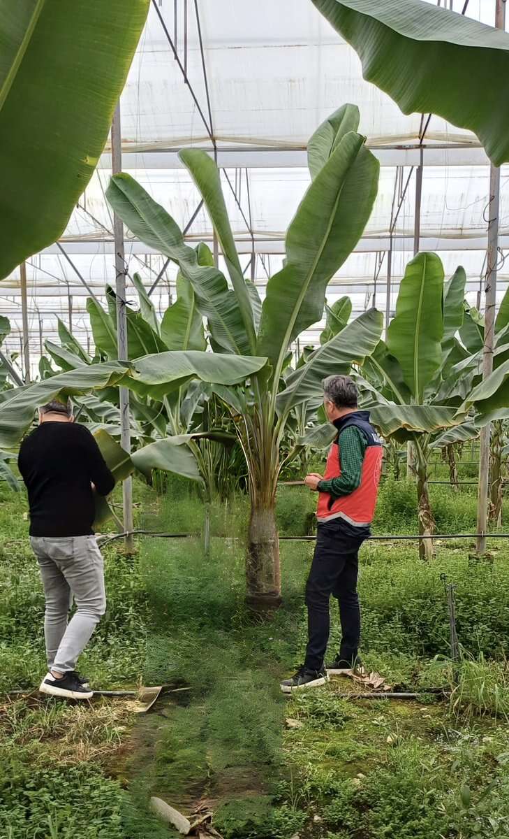 ureticiye-sahada-destek