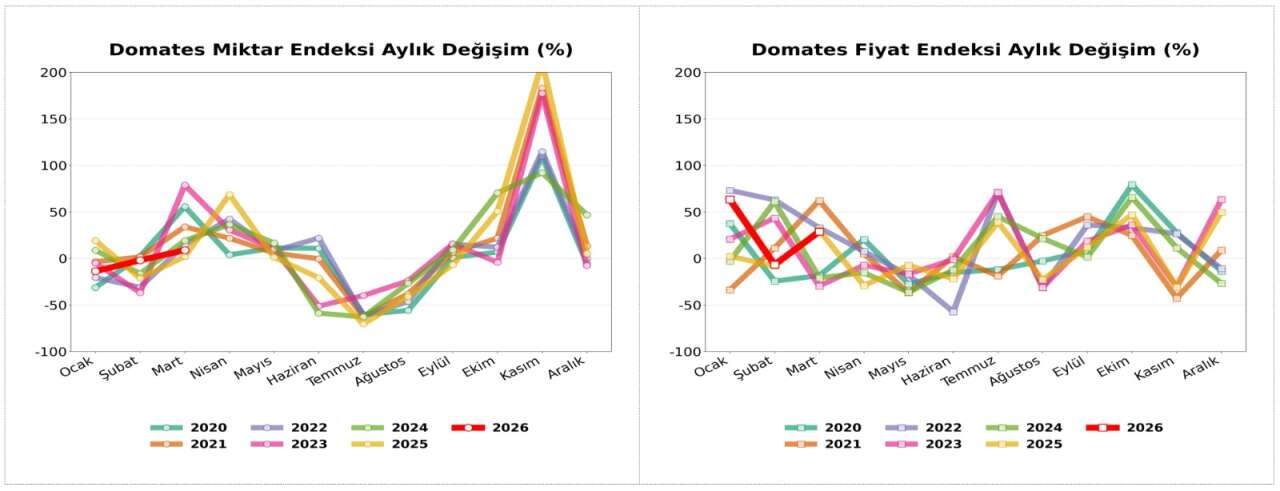 antalya-halinde-domates-fiyati-uctu-miktar-yerinde-saydi