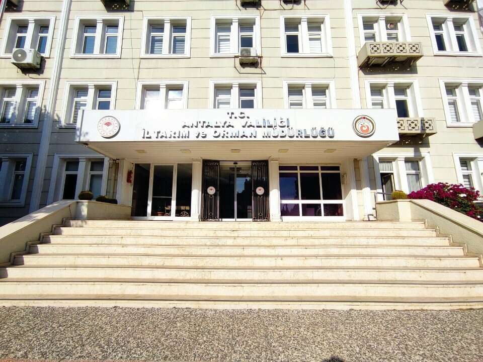 gazipasa-kuru-kesi-dunya-markasi-oluyor-tarihi-tescil-icin-resmi-adim-atildi