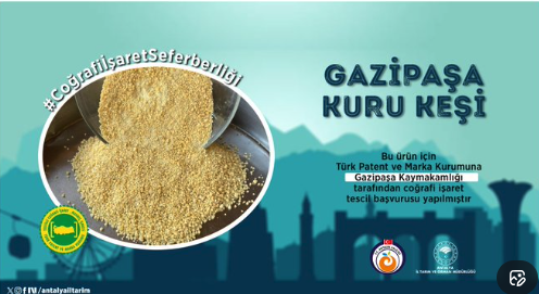gazipasa-kuru-kesi-dunya-markasi-oluyor-tarihi-tescil-icin-resmi-adim-atildi