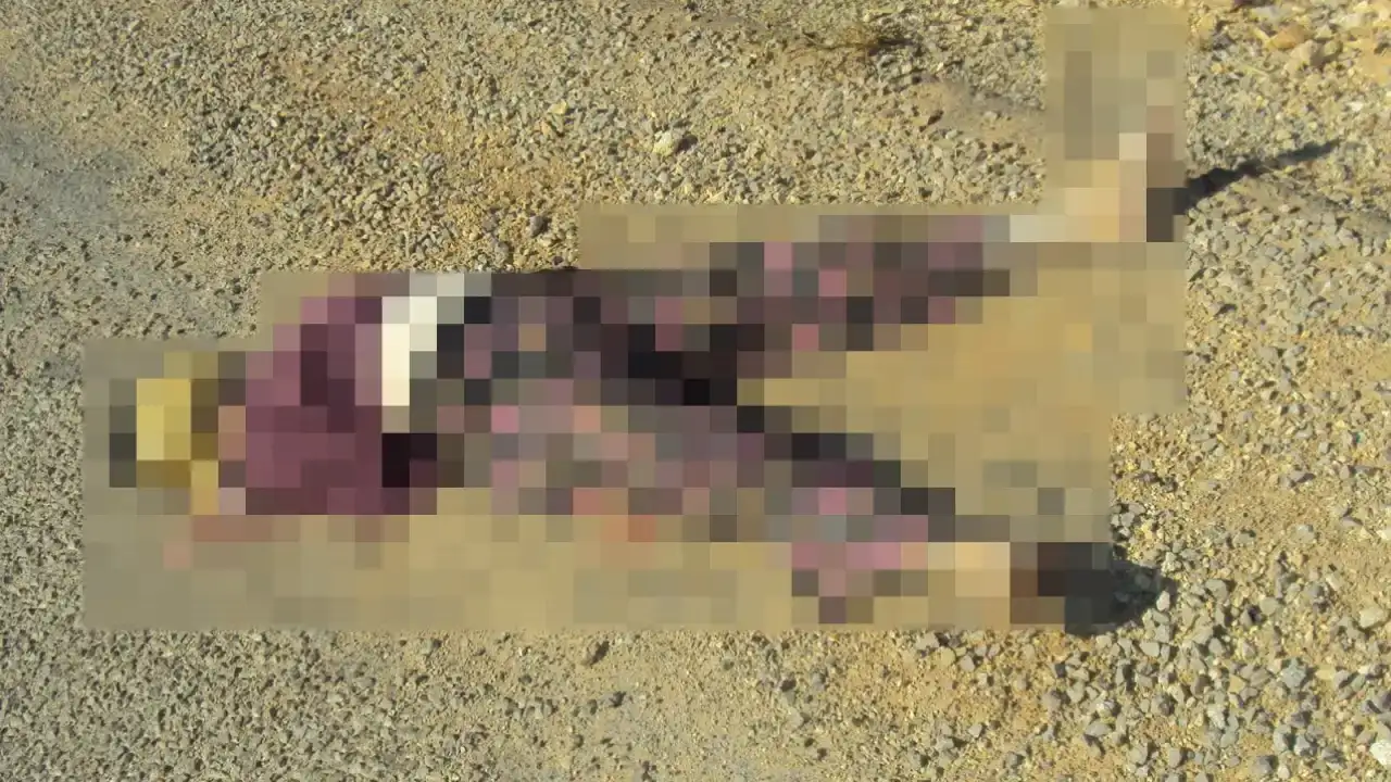 korkutelide-15-yillik-sir-perdesini-jandarma-aralandi