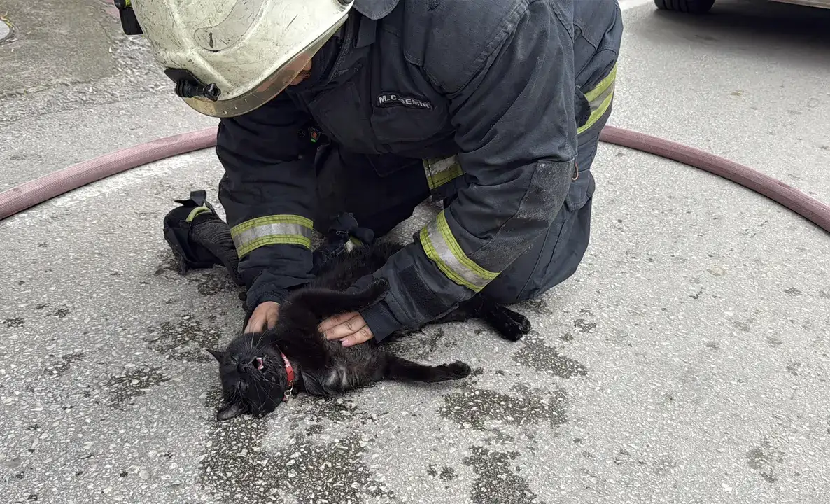 antalyada-kediyi-kalp-mesajiyla-kurtardi-evinde-boyle-karsilandi